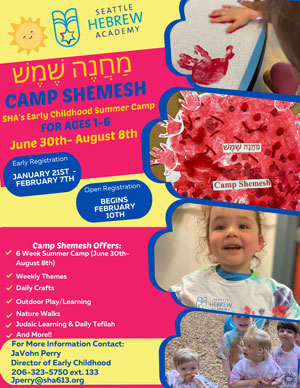 Camp Shemesh flyer June 30th